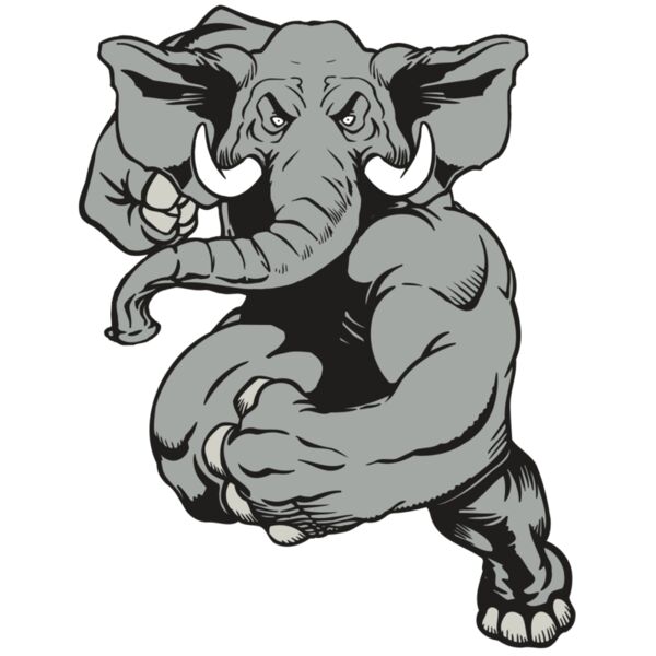 AR ELEPH 18 RC Thumbnail