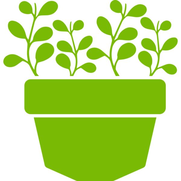 Succulent Plant 3 Thumbnail