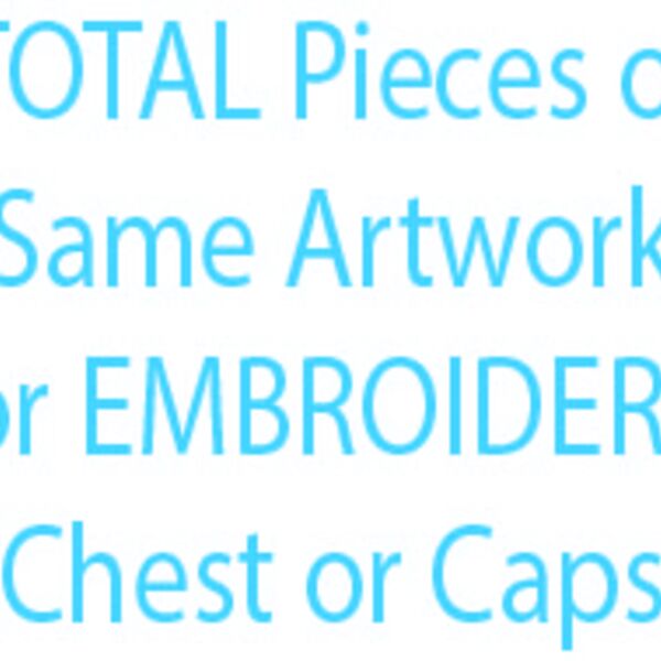 Total Embroidery Pieces With Same Logo Thumbnail